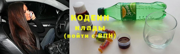 сатива Вяземский
