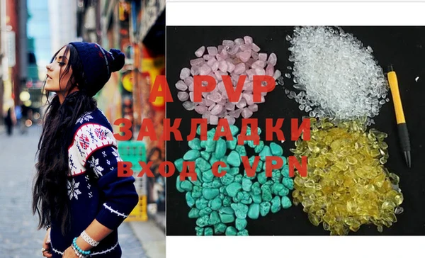 сатива Вяземский
